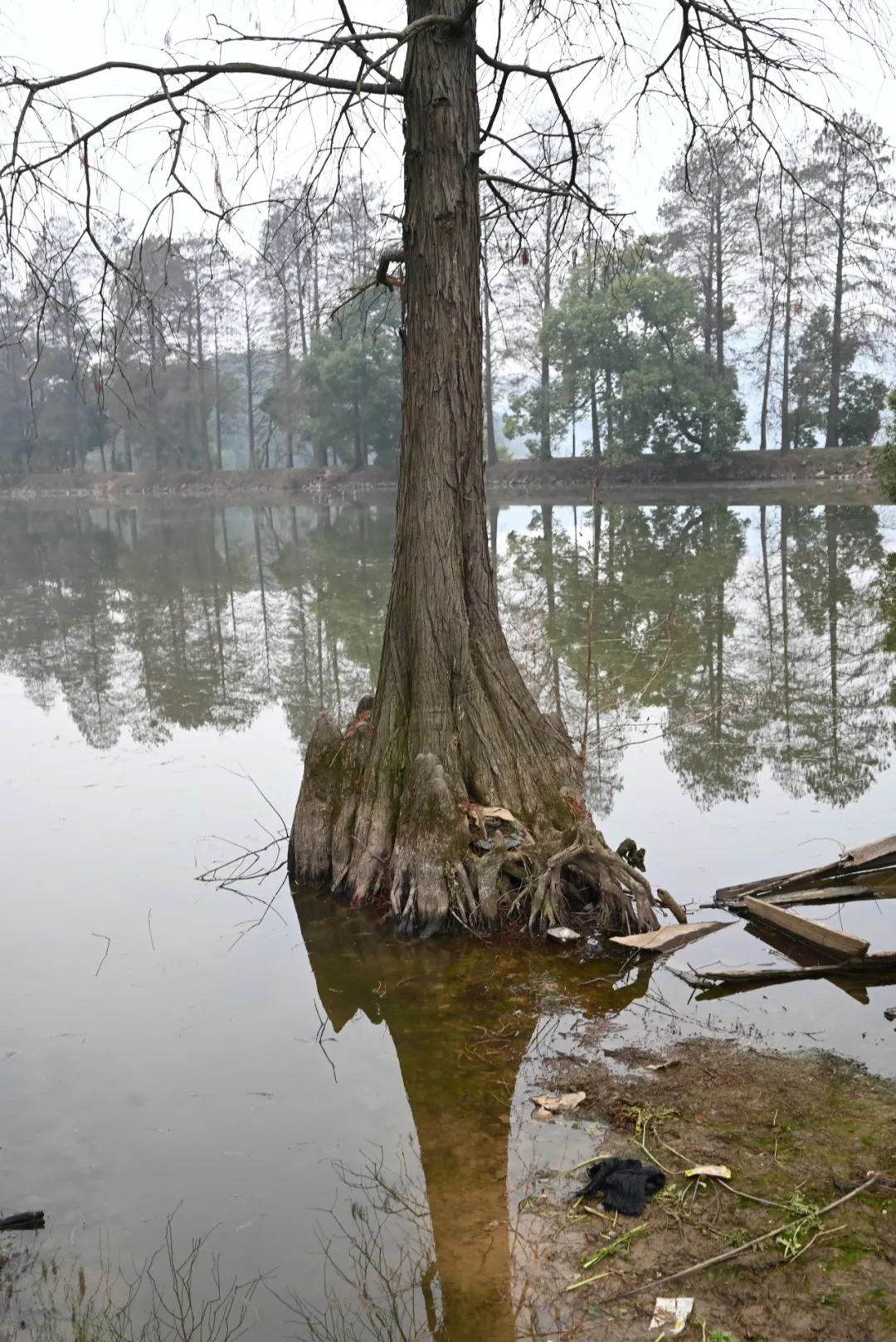 陈海峰  影像纪实 / 东湖之上-2