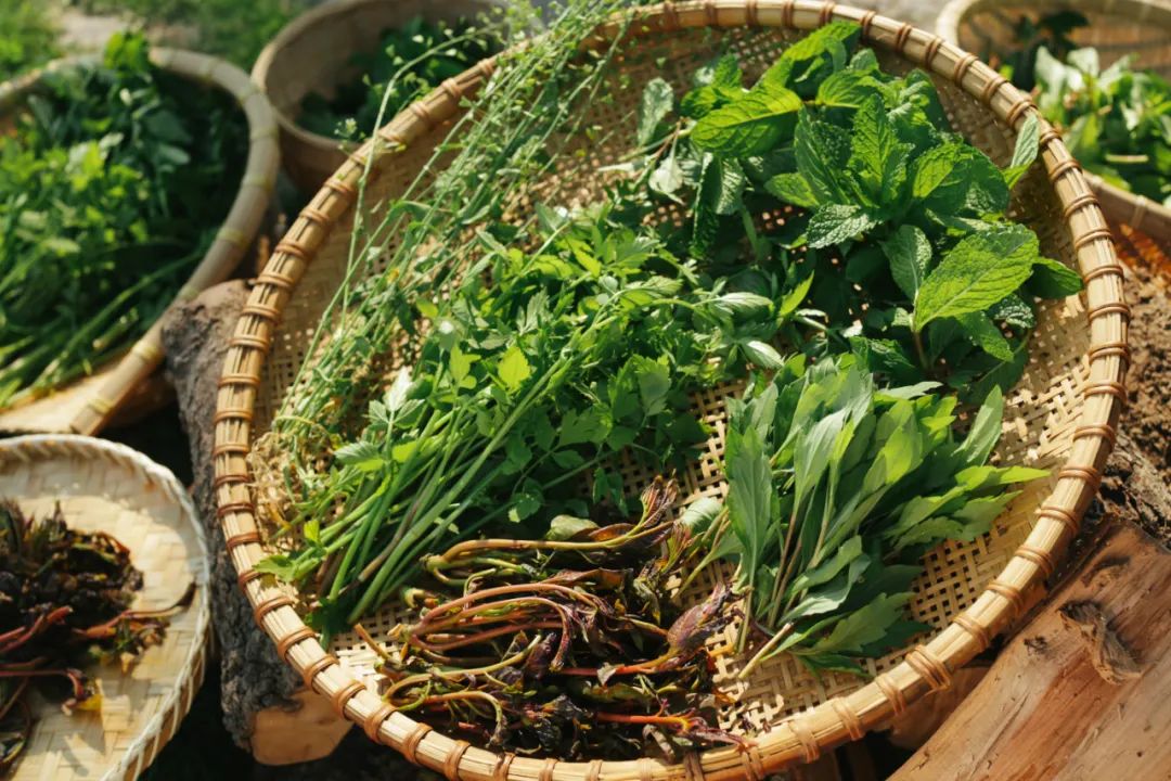 郊区“同居式”养老生活 | 自由、快乐、充实-6