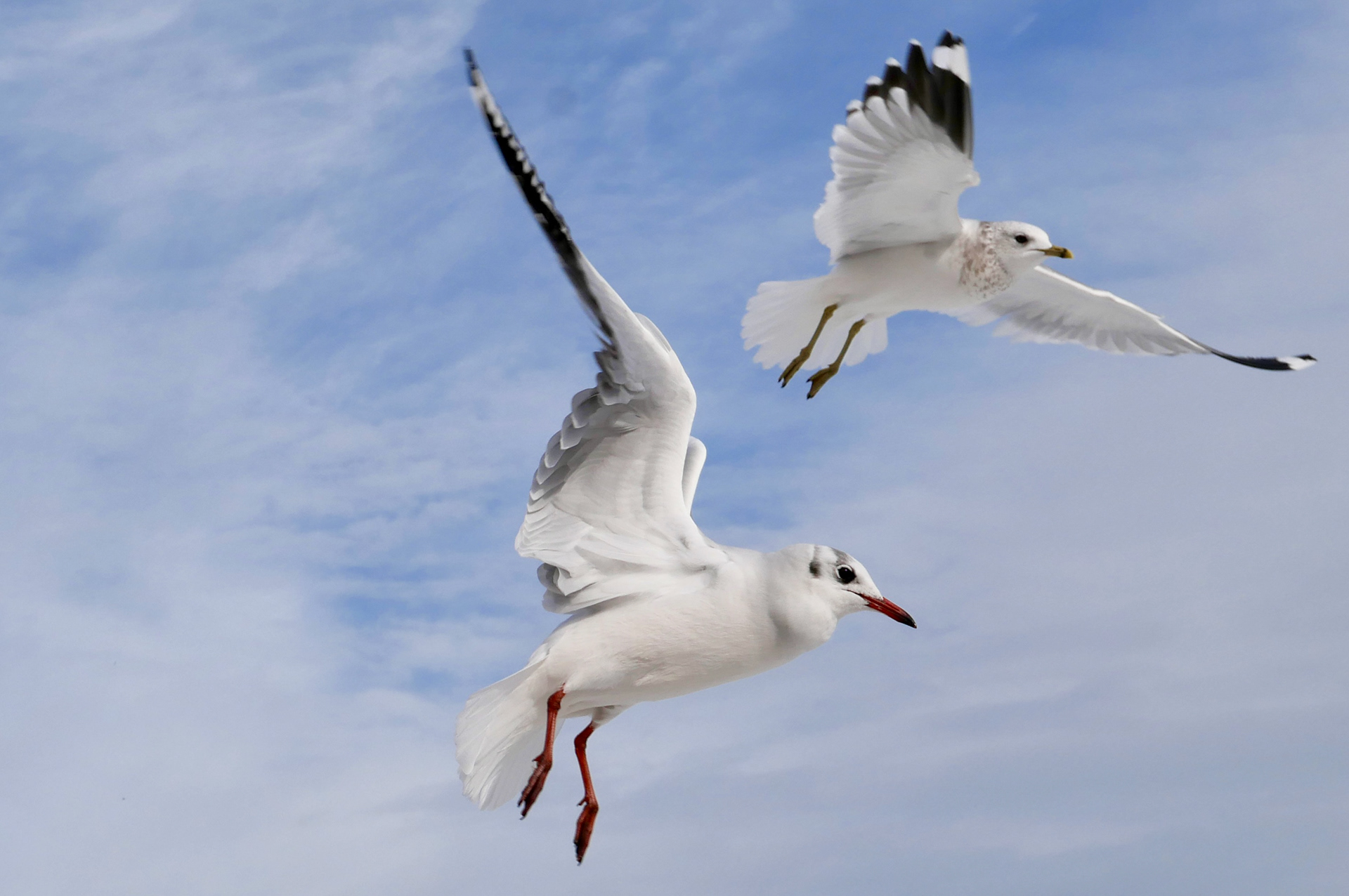 无明确体现丨无相关信息-4