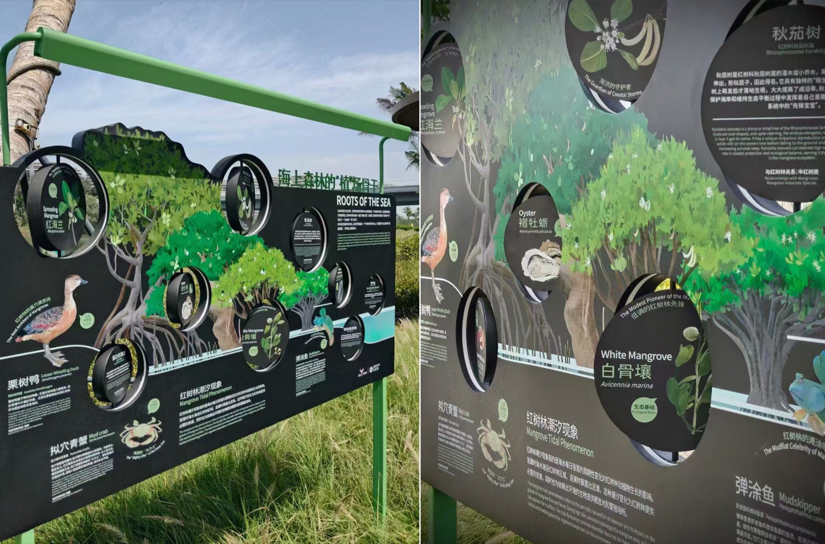 海棠河生态公园二期景观设计丨中国三亚丨LOLA Landscape Architects-56