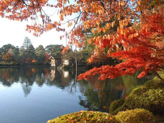 日本最美20个庭院，你更中意哪一个？-210