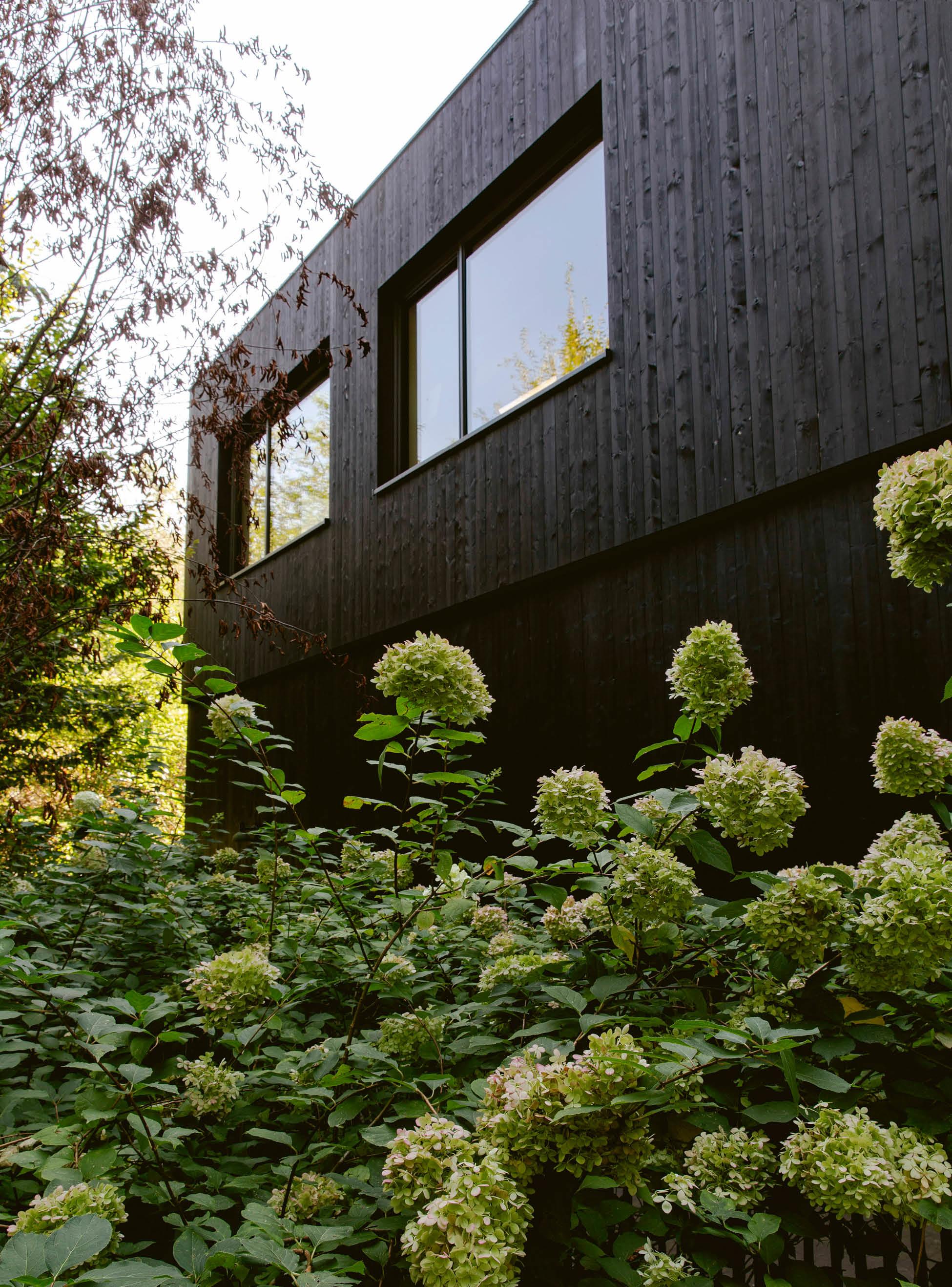 Kleuterschool St. Jan Berchmanscollege /  AIDarchitecten-13