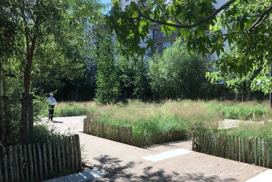 巴黎花园上的草地丨法国巴黎丨PRAXYS-28