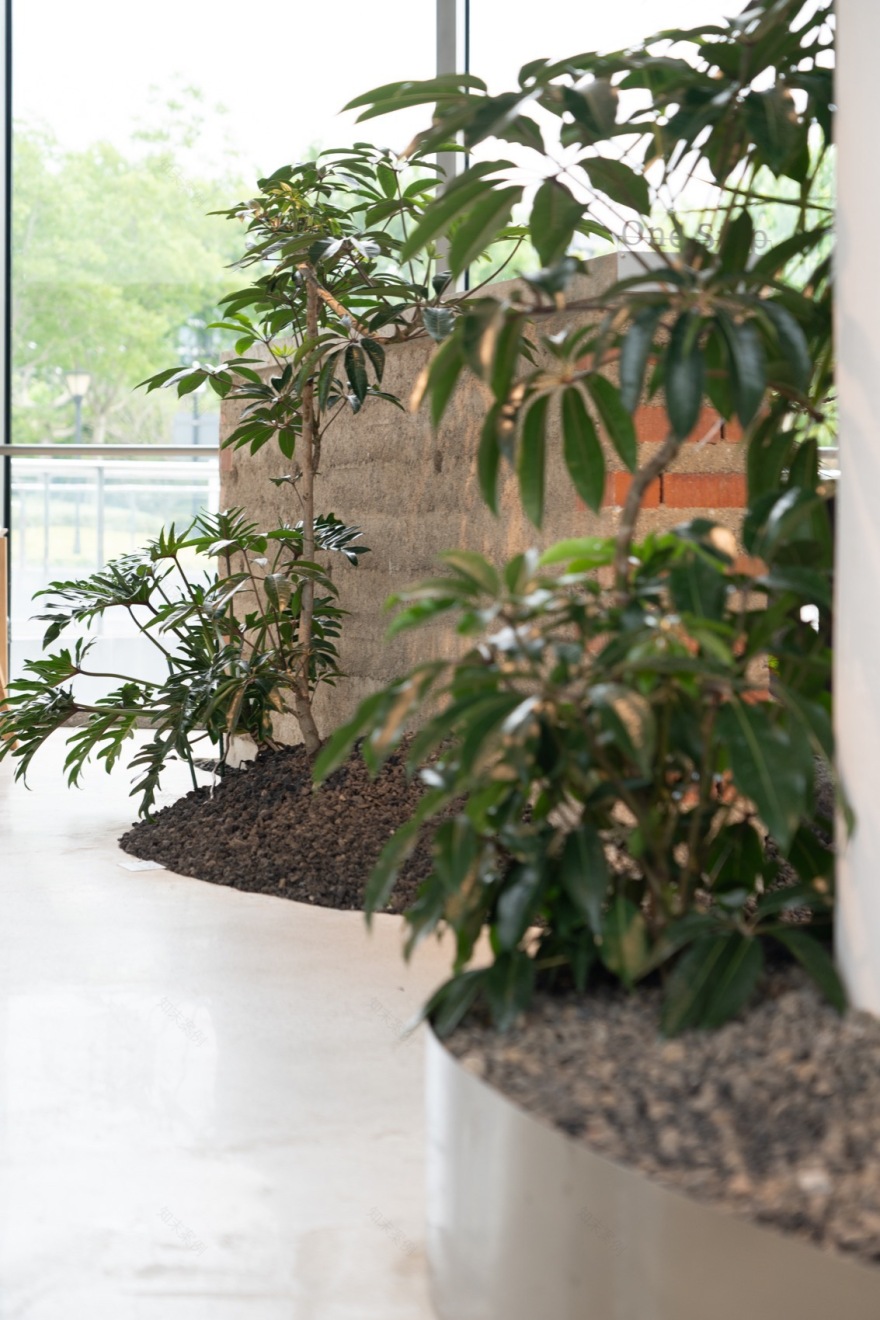 一尺花园前滩休闲公园店丨中国上海丨上海大形建筑规划设计有限公司-66