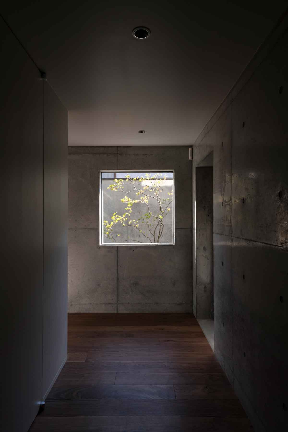 Concrete Shell House 混凝土壳住宅丨IKAWAYA Architects-40
