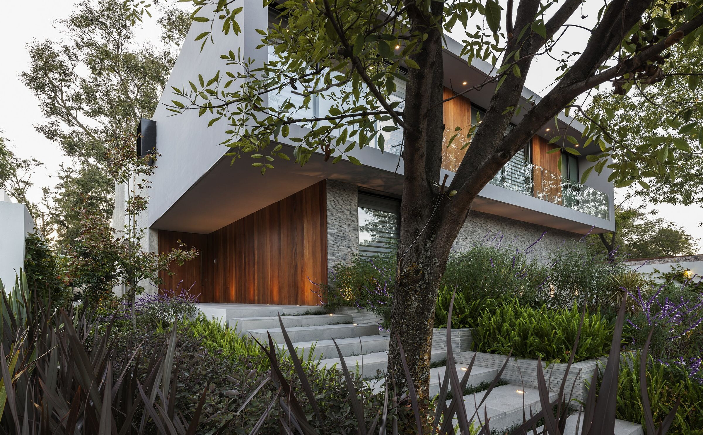 墨西哥森林中的悬浮木质楼梯住宅-24