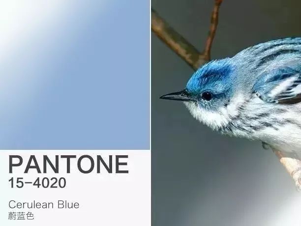 法式浪漫庄园 | 细腻与宏大的完美结合-13