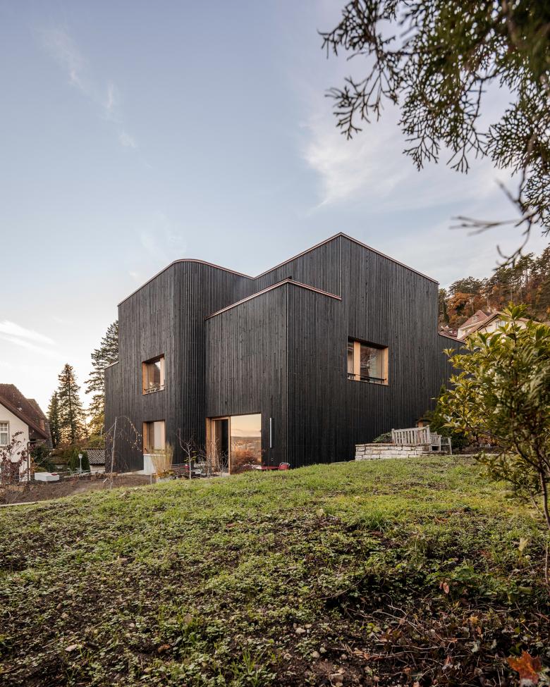 费舍尔多户住宅丨瑞士丨Haefeli Architekten-3