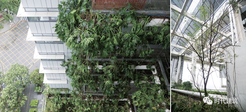 从共享设计到共享建设-53