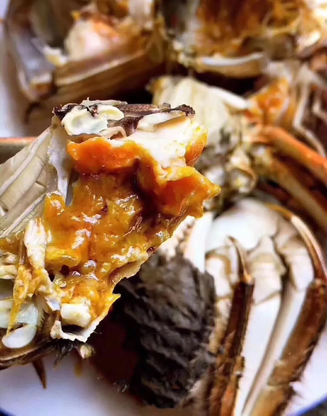 穿过喧嚣 走进时光·来高淳东坝看美丽乡村-69