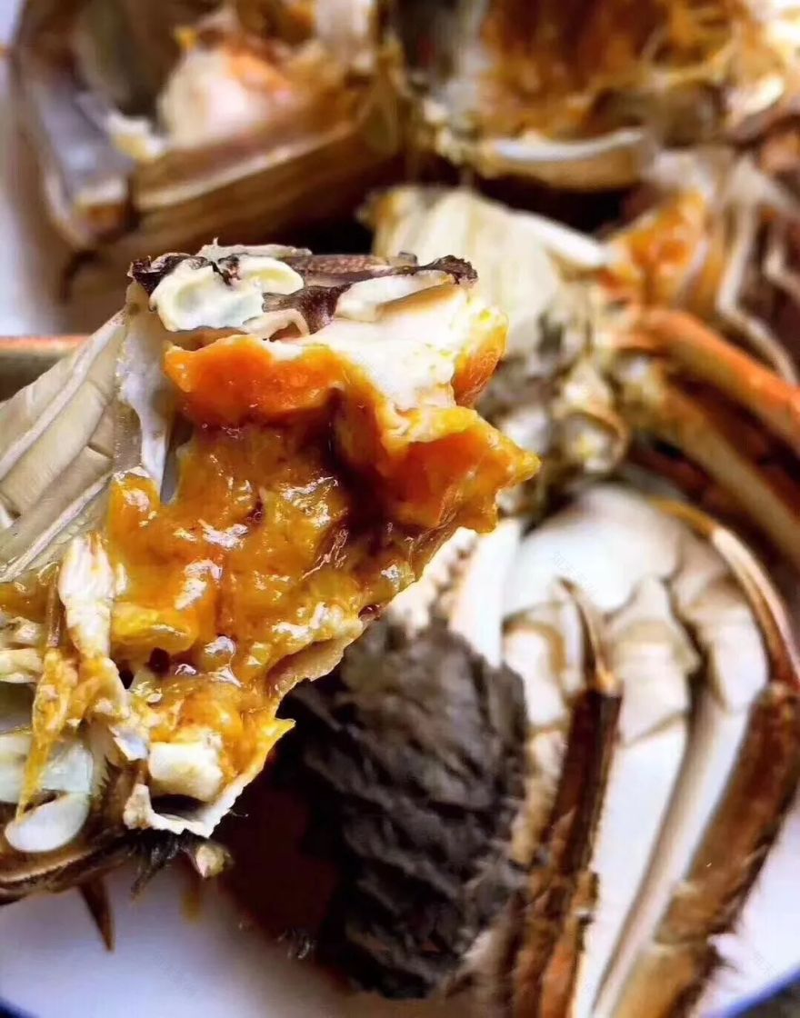 穿过喧嚣 走进时光·来高淳东坝看美丽乡村-69