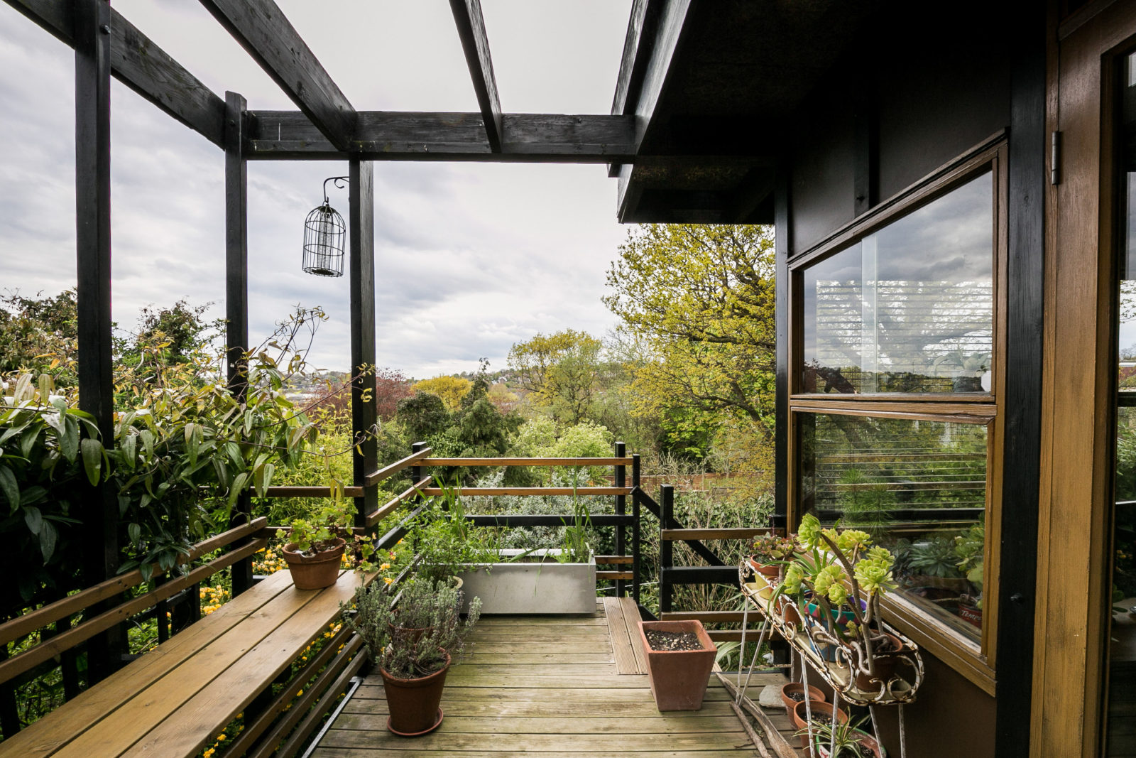 A local’s guide to Forest Hill - from the Horniman Museum to modernist architecture | Journal | The Modern House-8