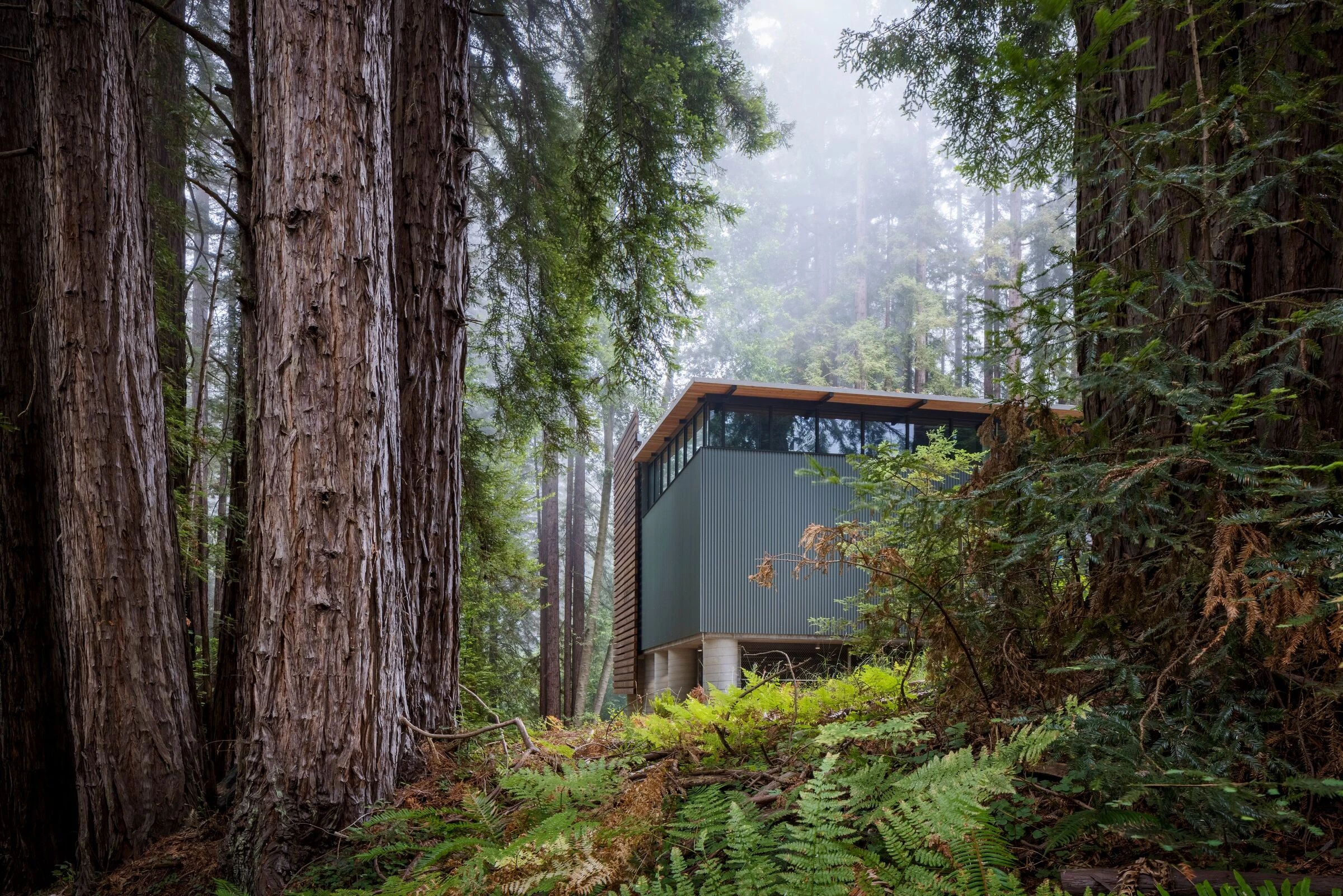 Environmental Health & Safety Facility-29