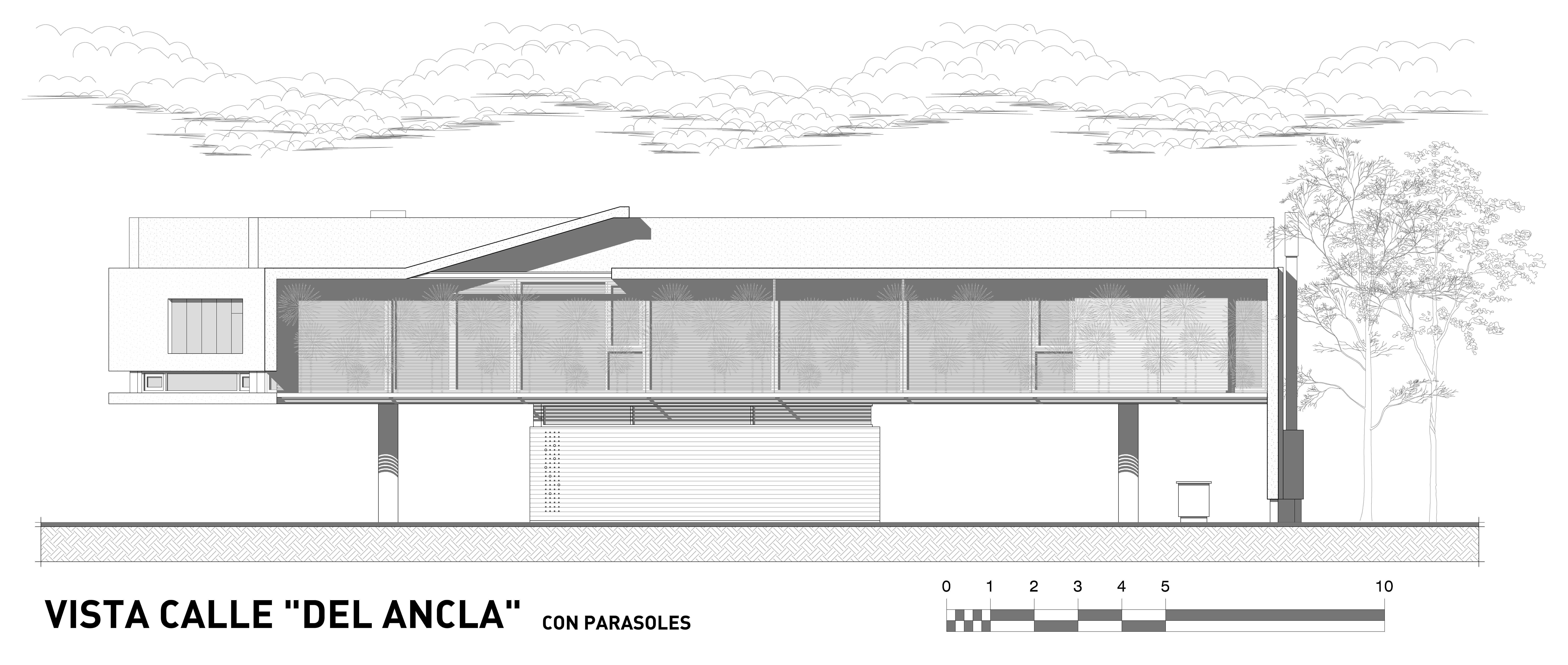 悬浮森林中的宁静家园-66