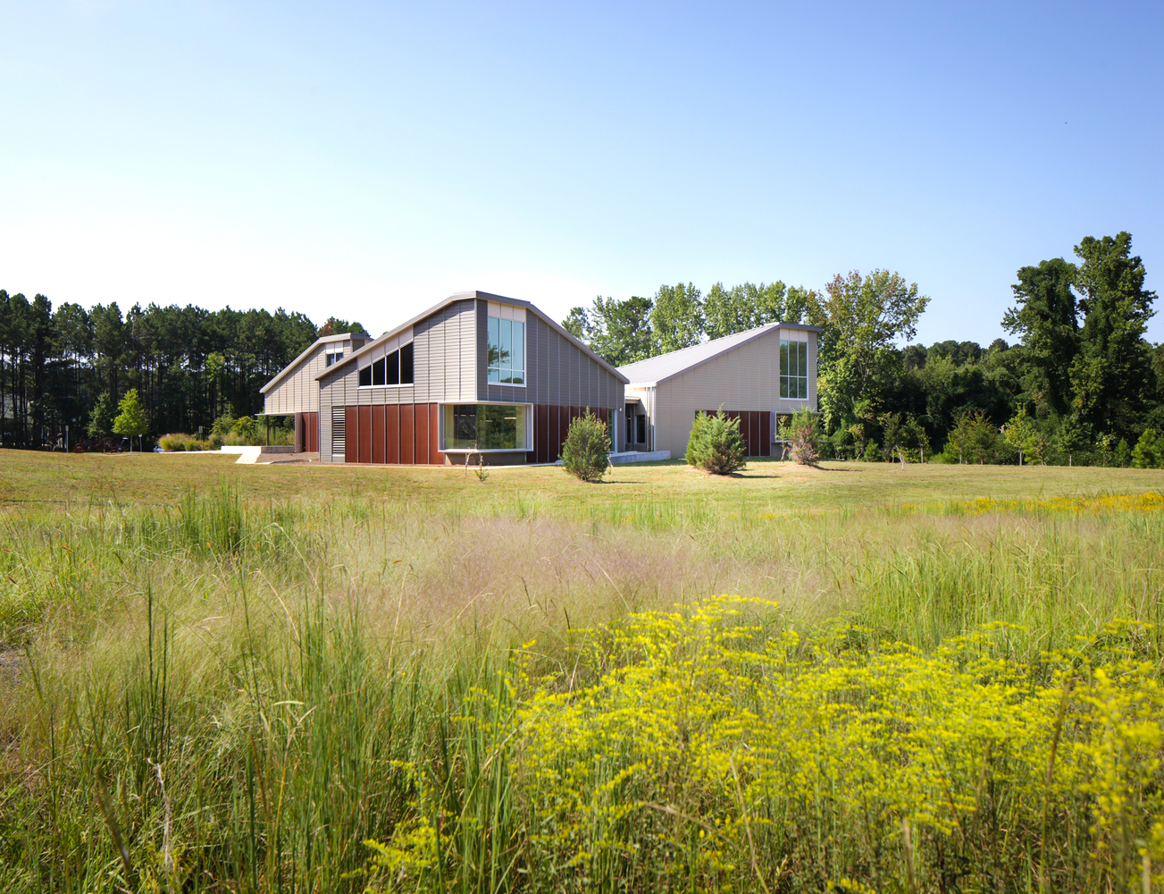 Palmetto图书馆-42