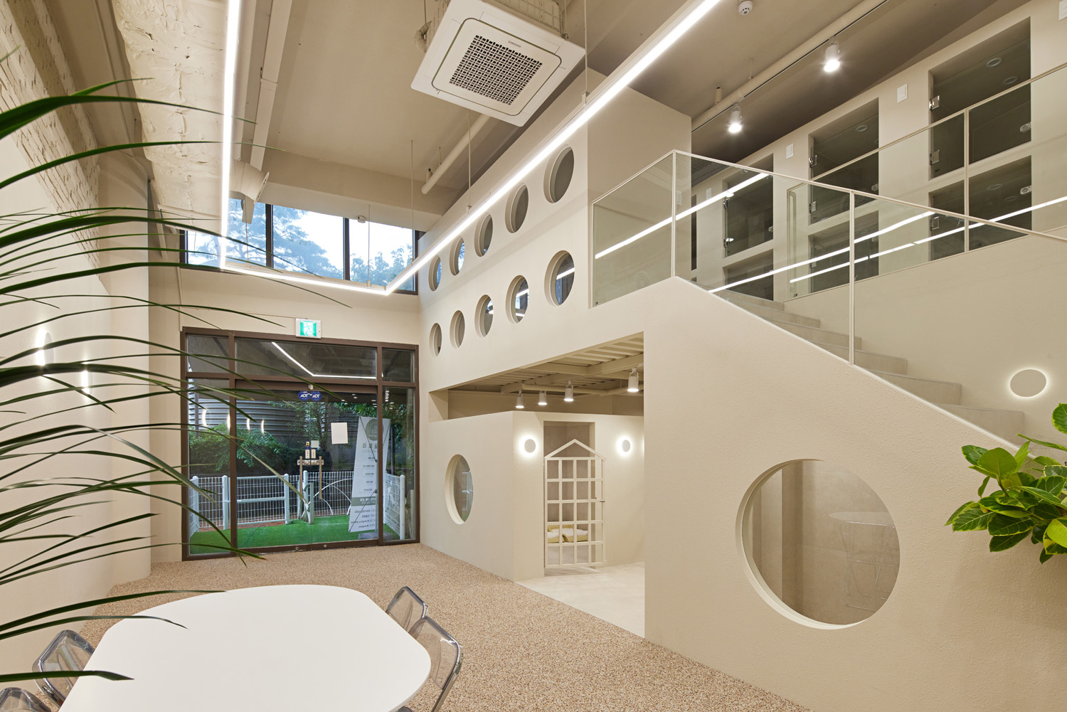 70 平宠物酒店，打造温馨如白洞咖啡馆的氛围-5