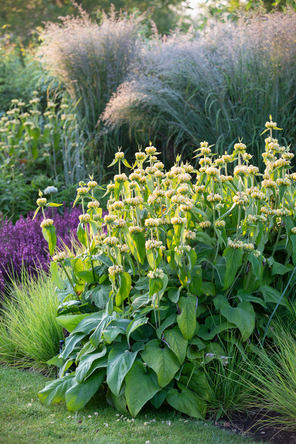 诗意中游弋 | Colm Joseph-101