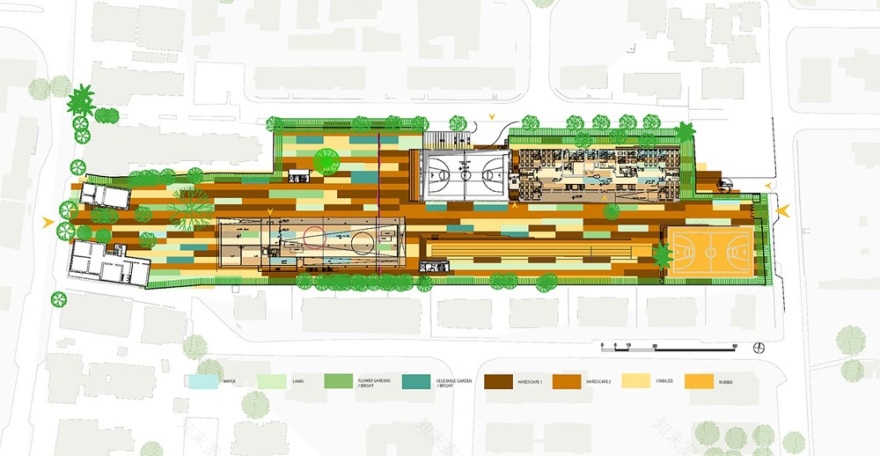 绿意盎然的语言之家·以色列里雄莱锡安“希伯来之家”-9