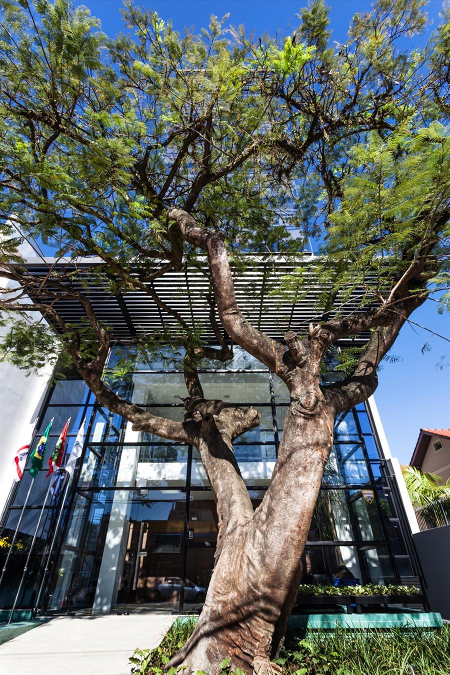 FCDL 行政大楼 | 现代设计与环保理念的完美结合-7