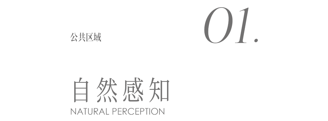 金臣别墅丨中国上海丨尚层别墅装饰上海浦西分公司-6