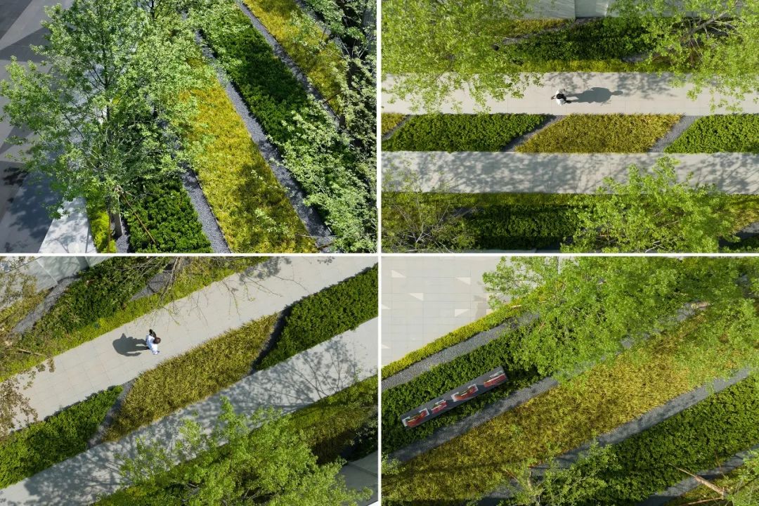 武汉光谷·大家中心景观示范区丨中国武汉丨会筑景观-31