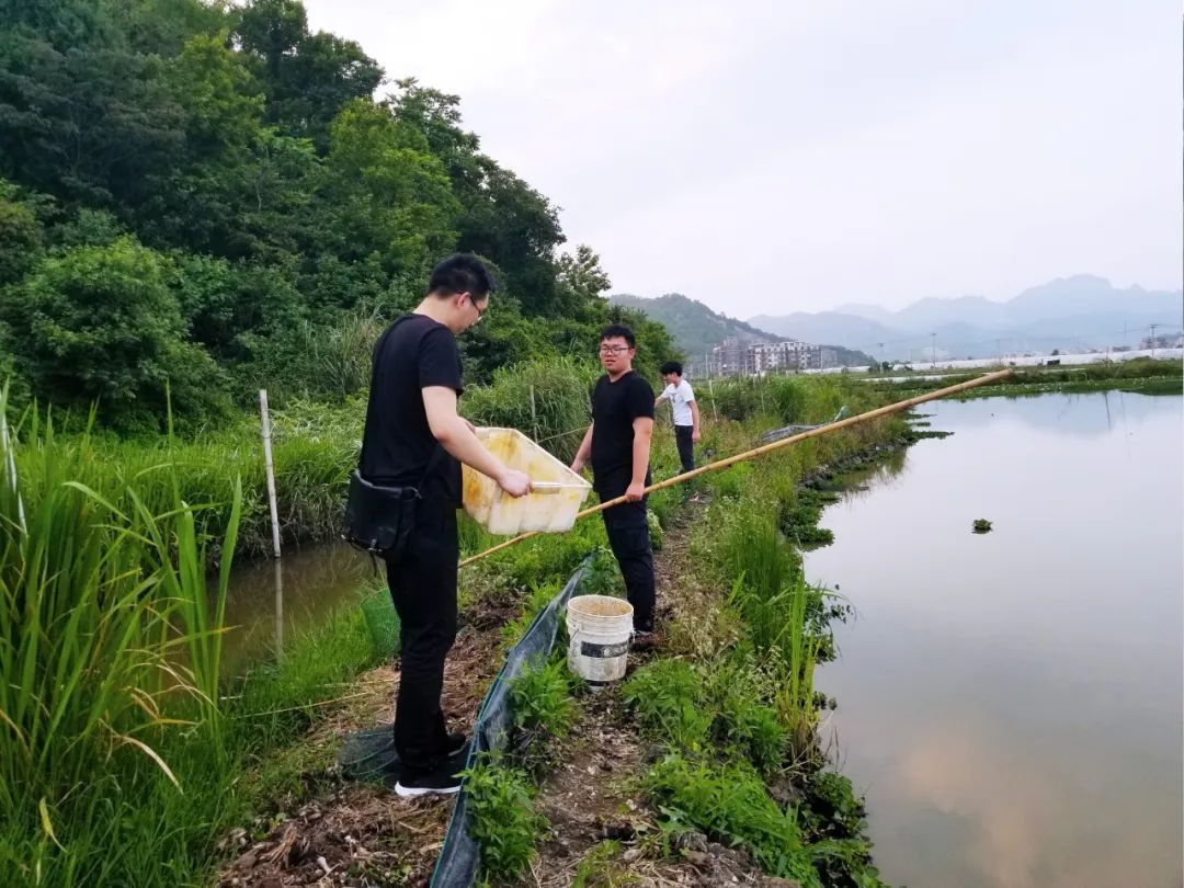 品东装饰户外团建活动 | 快乐工作，健康生活-11