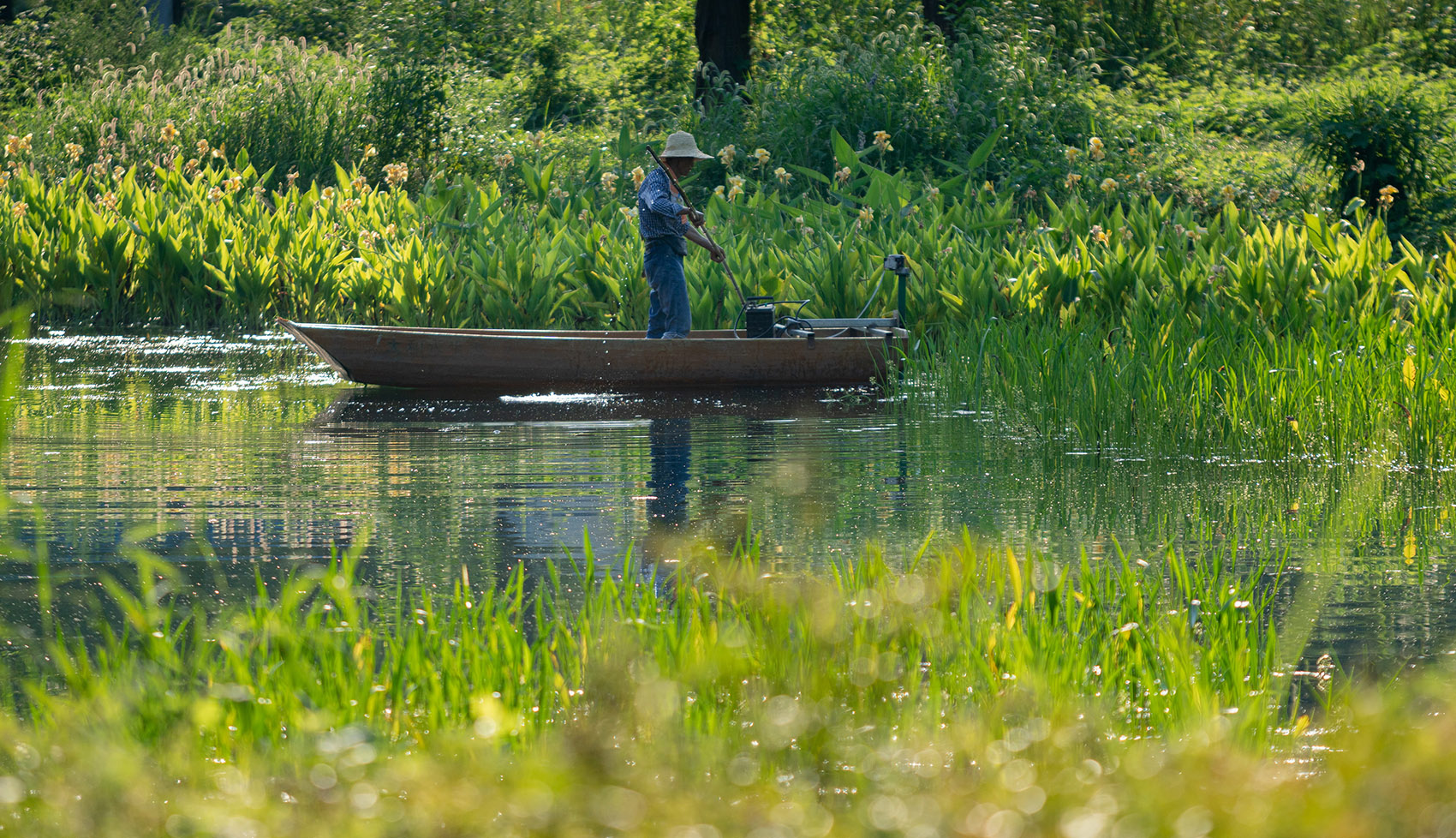 武汉华侨城D3地块南侧湿地公园-38