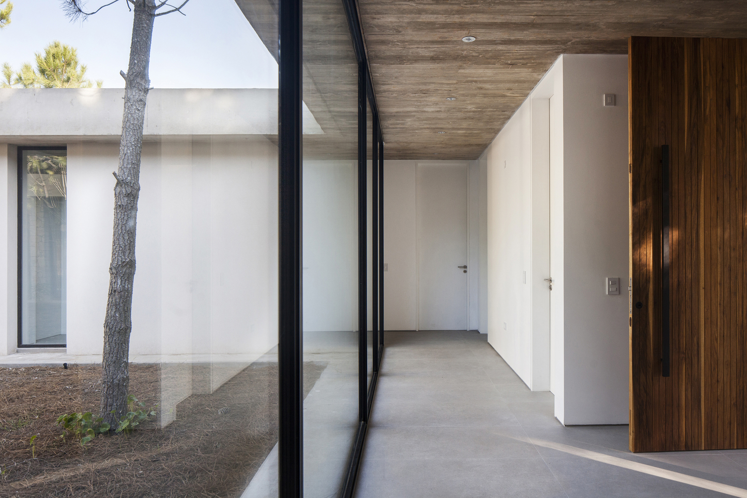 C House · 阿根廷海岸度假屋丨Estudio PK-31
