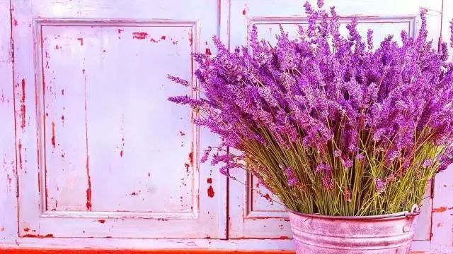 让我依依不舍的，不止你的温柔-25