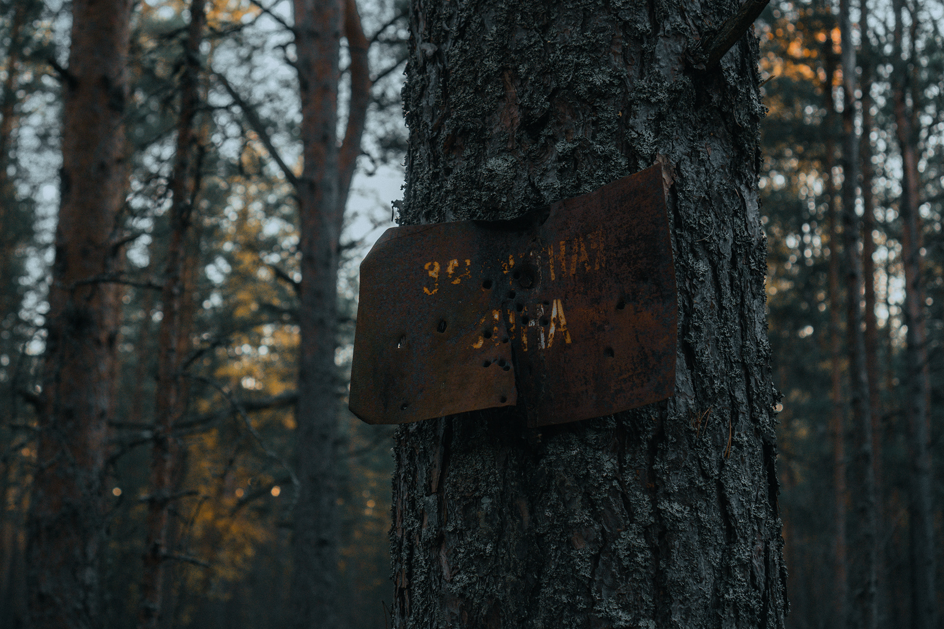 俄罗斯列宁格勒地区森林探险-13