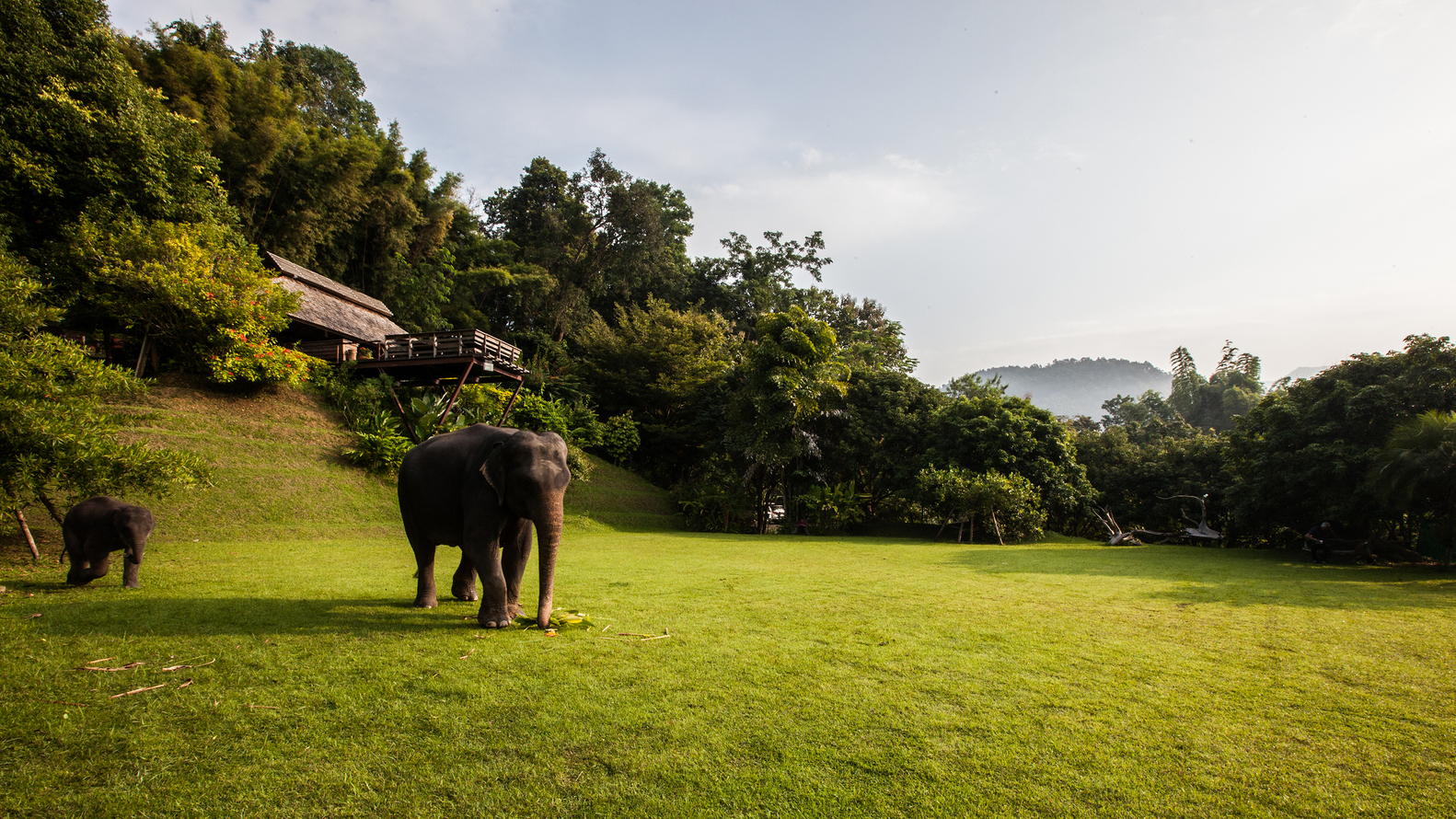 泰国 Hill Lodge 度假村-34