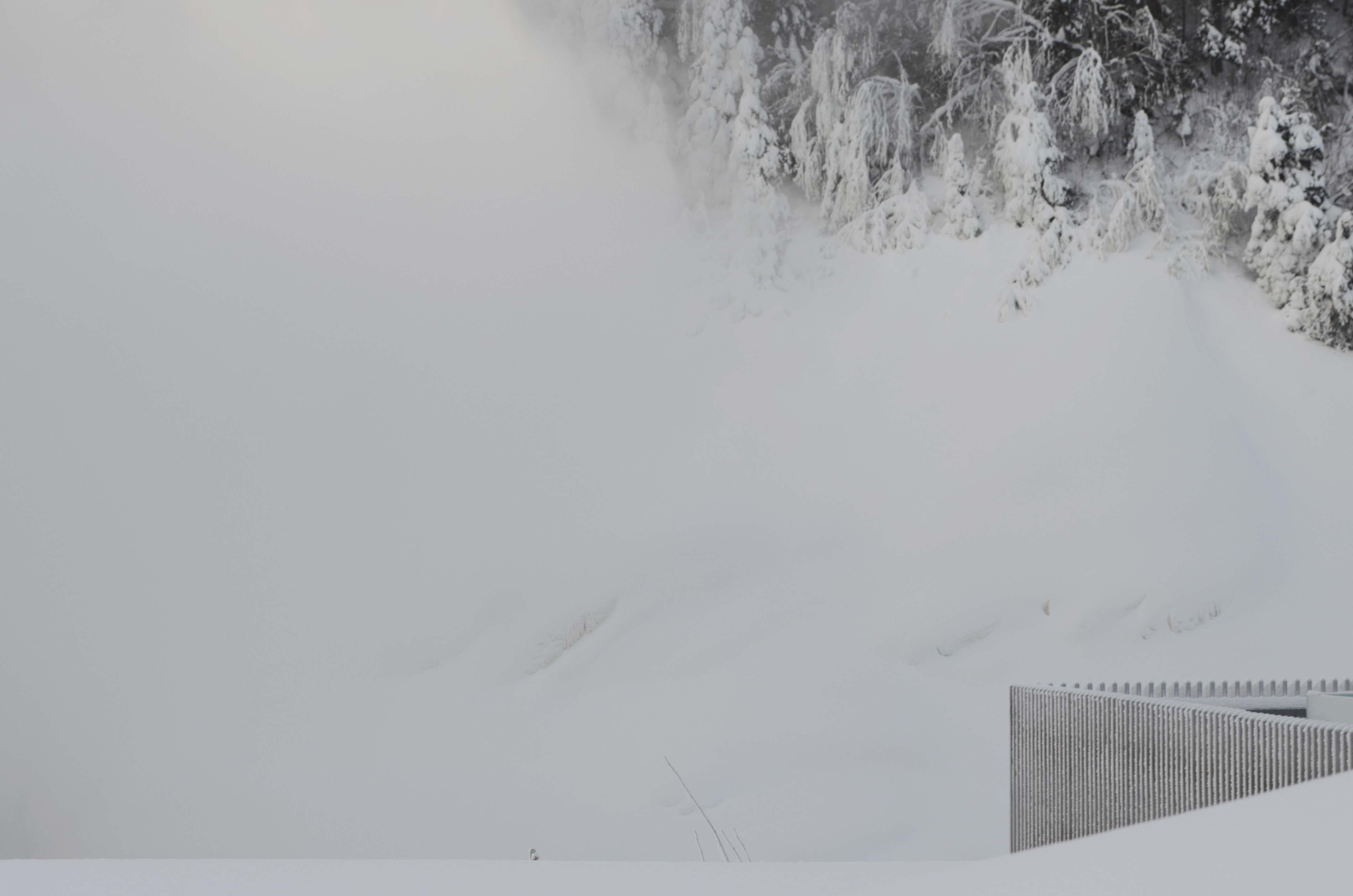 废弃村庄的重生 · Val·Jalbert 历史村落的现代整合-23