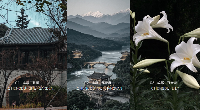 绿城·润百合丨中国成都丨飞视设计-3