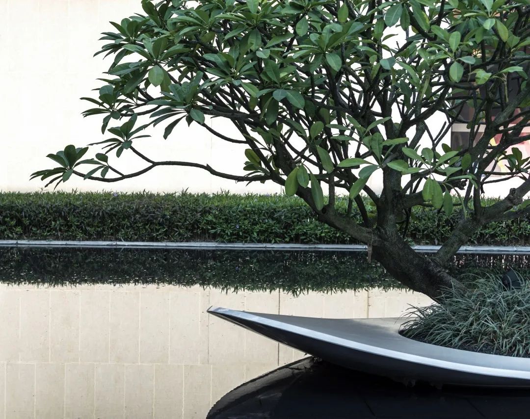 万科四季花城丨中国中山丨成都赛肯思创享生活景观设计股份有限公司-40