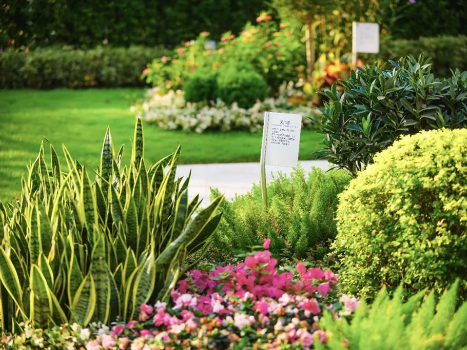 杭州滨江御虹府丨中国杭州丨棕榈设计集团有限公司-66