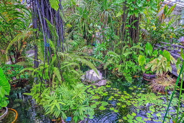 名古屋市东山动植物园之植物园丨日本爱知-44