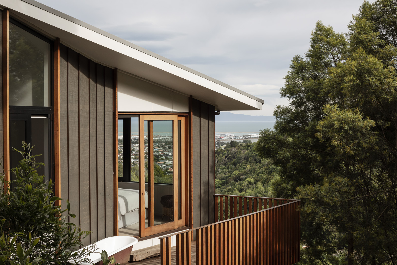 羽毛屋丨新西兰纳尔逊丨Irving Smith Architects-24