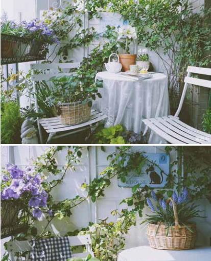 阳台花园改造记丨中国杭州丨哓气婆-29