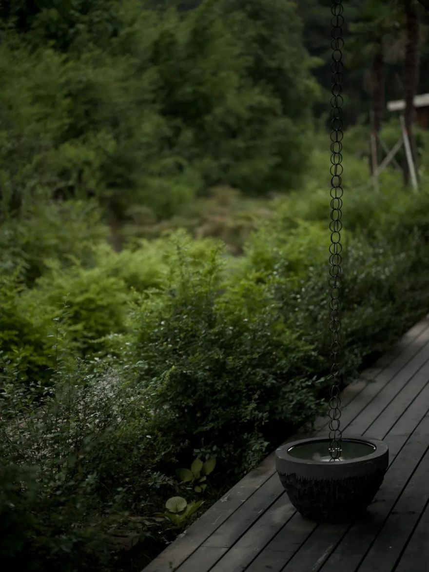 山谷松林里的隐世秘境之旅|PrivateJourneyinthePineryValley-101