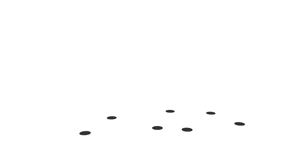 美国佛罗里达州坦帕市河滨公园的“漫游形态”-31