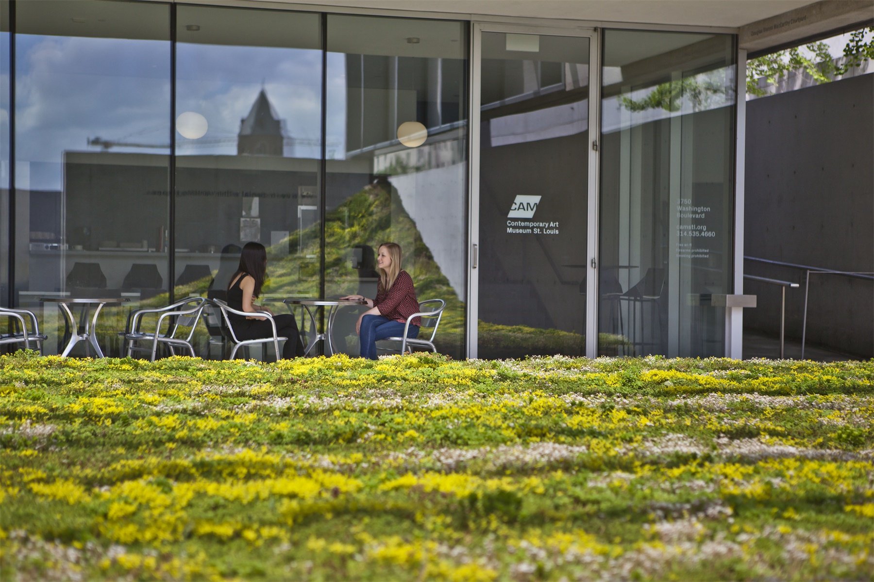 绿色地毯艺术装置丨美国丨nomad studio-18