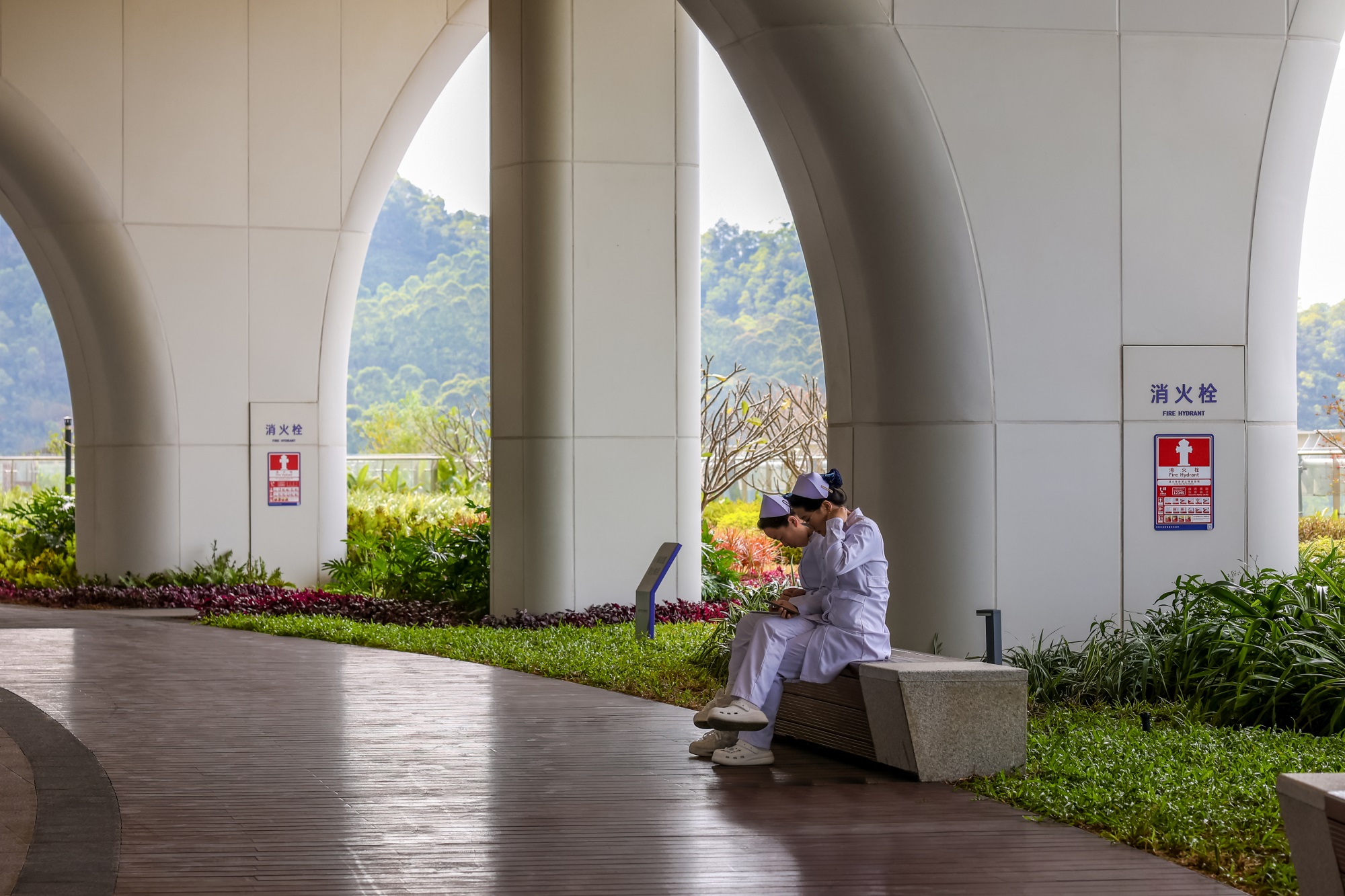 深圳市第二人民医院大鹏医院丨中国深圳丨景观设计为深圳市希尔景观设计有限公司等多家-87