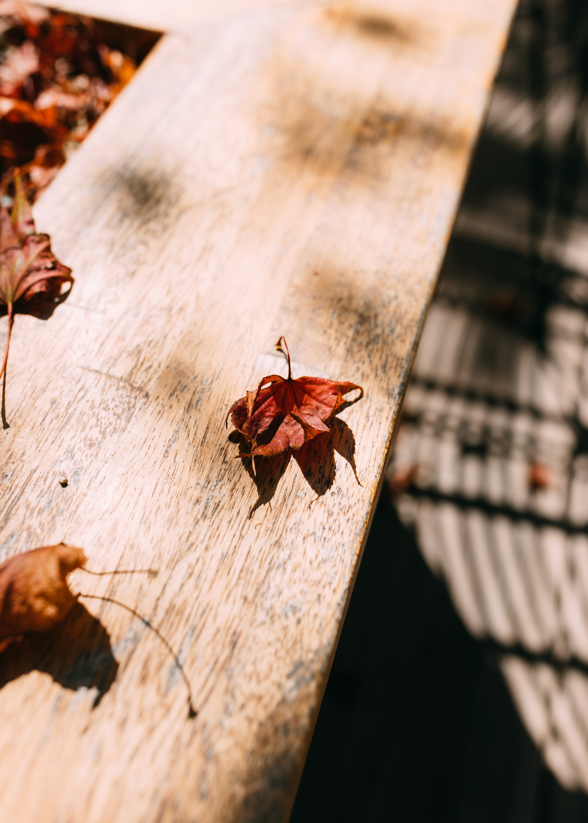 大邱琵瑟山多克比克咖啡总店-9