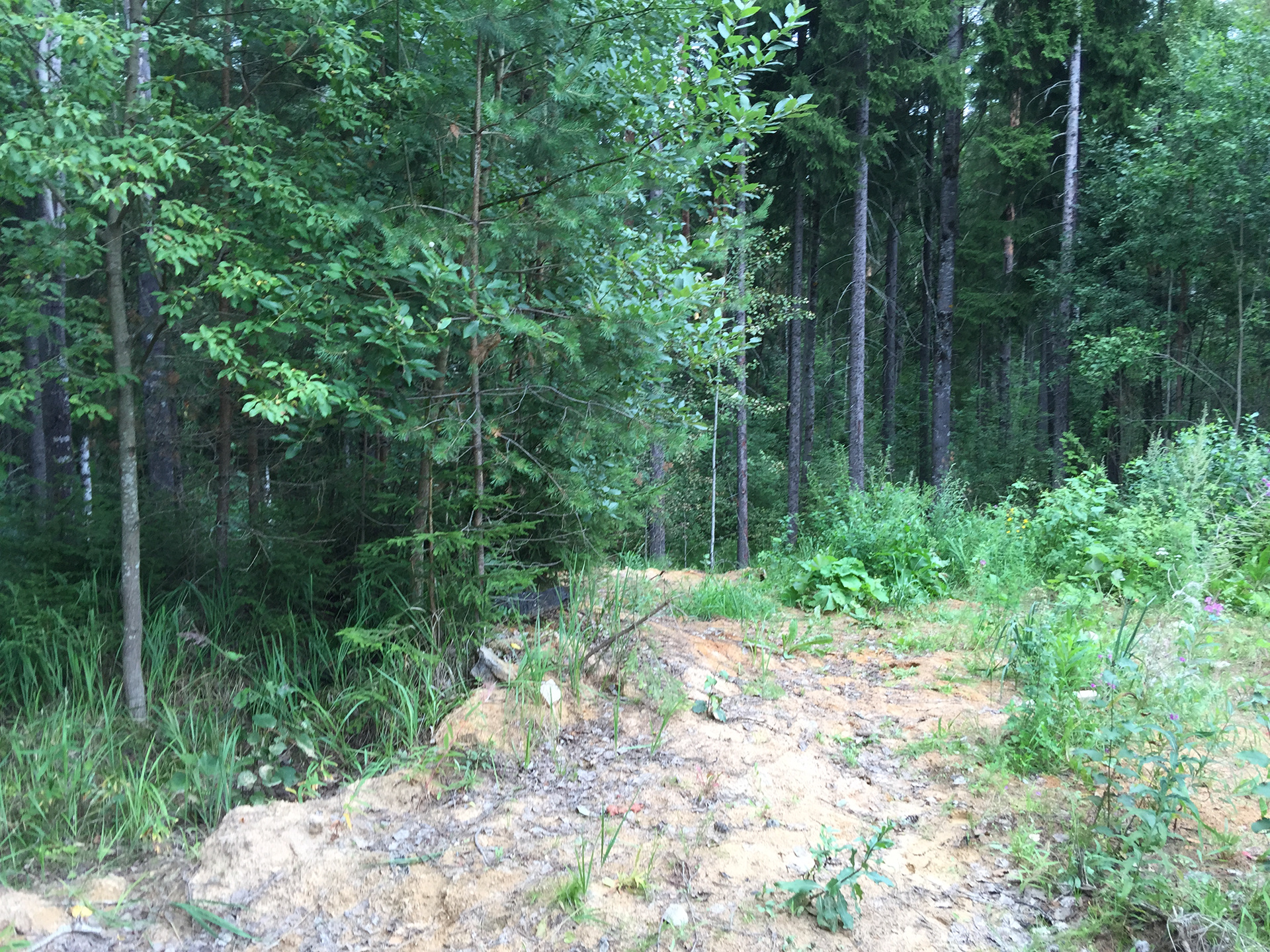 垂直规划项目-16