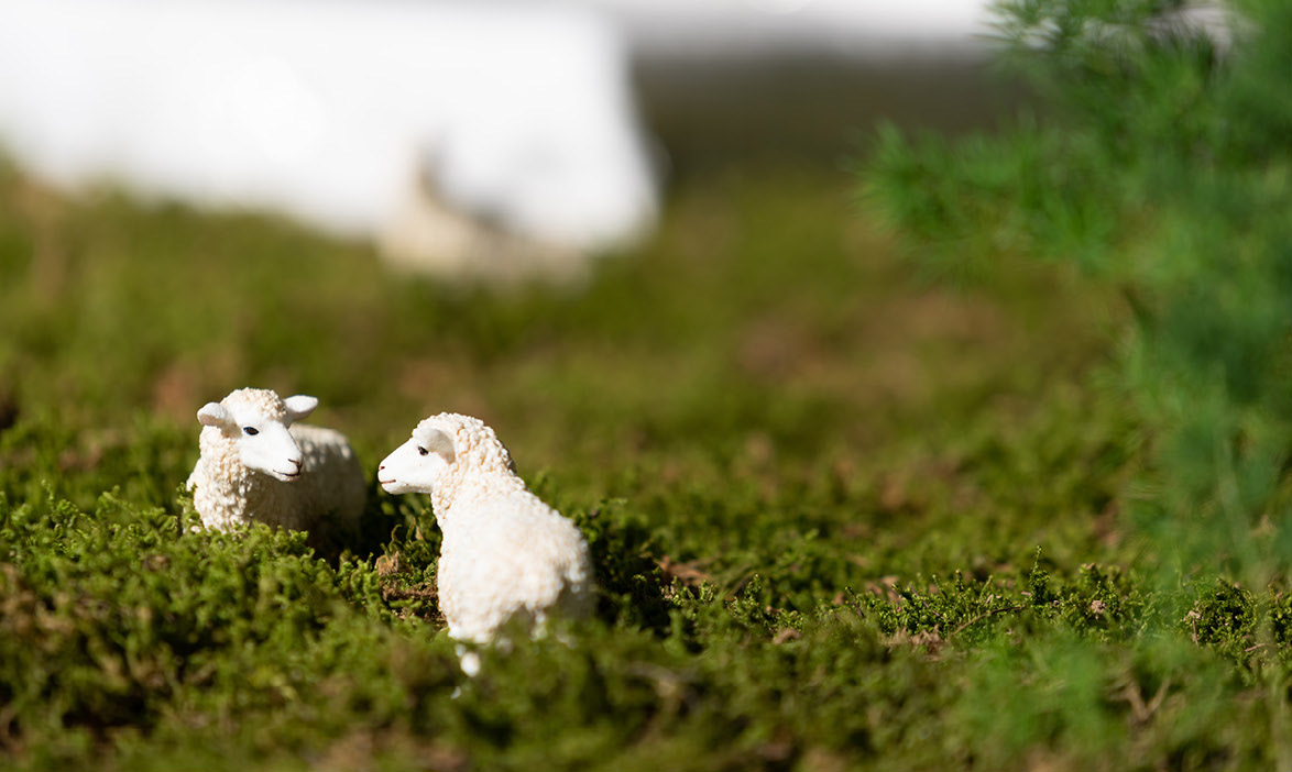 “绿梦” · 上海城市空间艺术季丨中国上海丨THLA天华景观-64