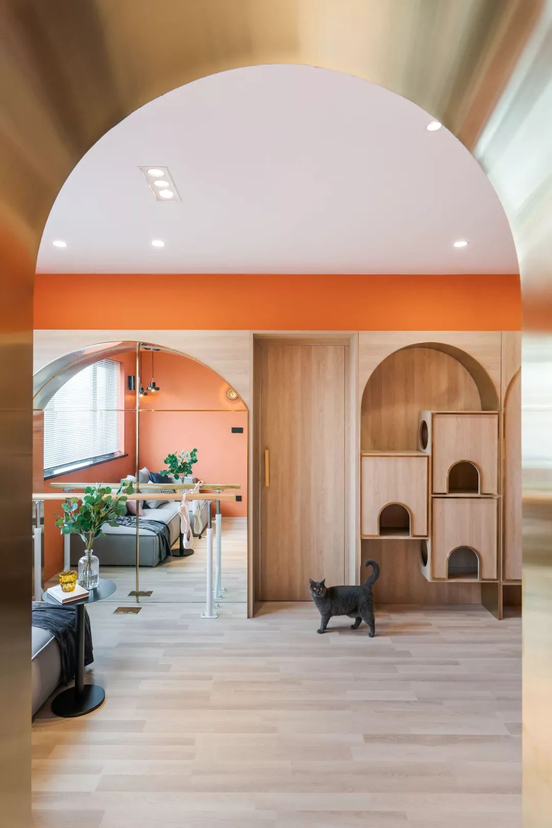 让50平老房安放两人一猫  张通-22