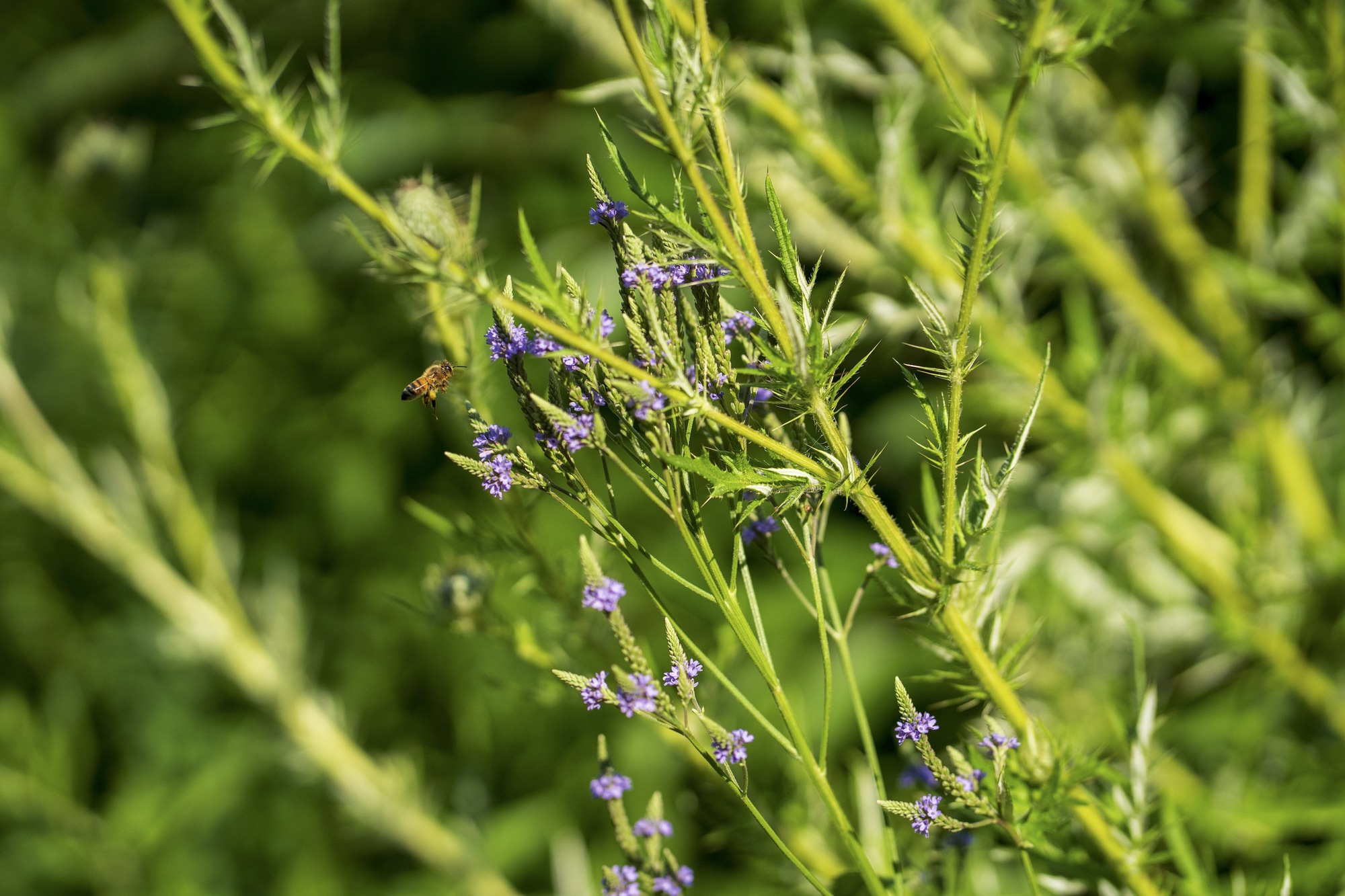 丨加拿大多伦多丨Poiesis Architecture-49