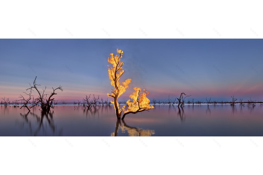 悉尼当代艺术博览会 2023 年必看亮点-3