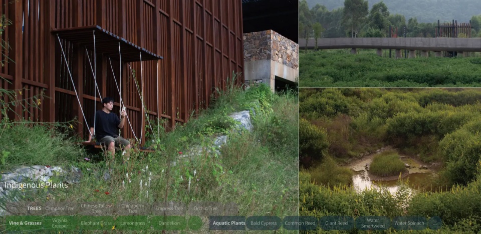 桂头镇湿地公园:为被遗忘的乡村重建公共空间丨中国广东丨有限设计工作室-30