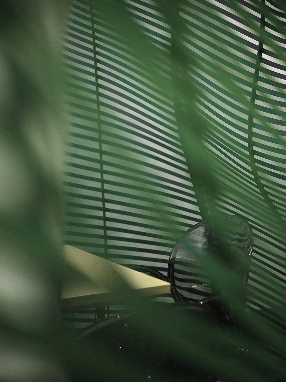 JIN TEA 津乔茶丨Aurora Design 艾洛设计-31